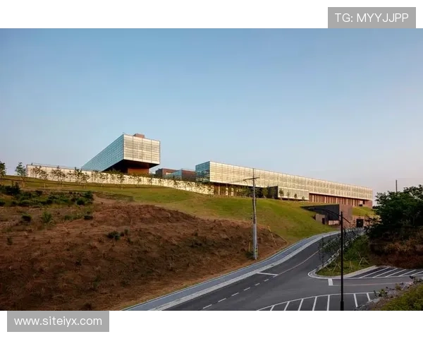 爱游戏集团在全球市场中的品牌建设与合作扩展的成功经验总结 爱游戏集团在全球市场中的品牌建设与合作扩展的成功经验总结