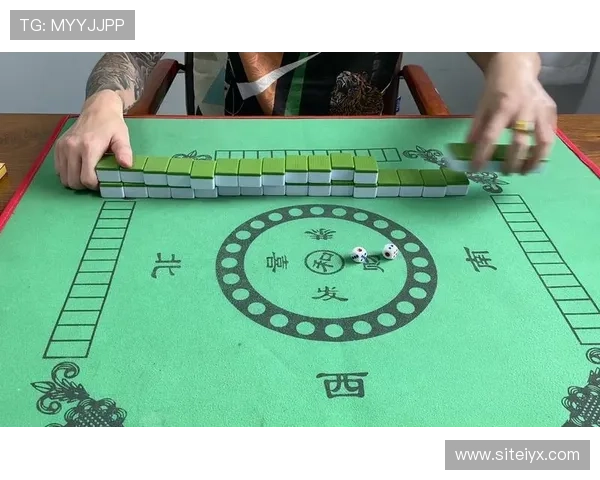 二八杠遊戲玩法详解与技巧分享让你轻松掌握赢取秘诀